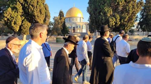 مستوطنون في المسجد الاقصى.jpg
