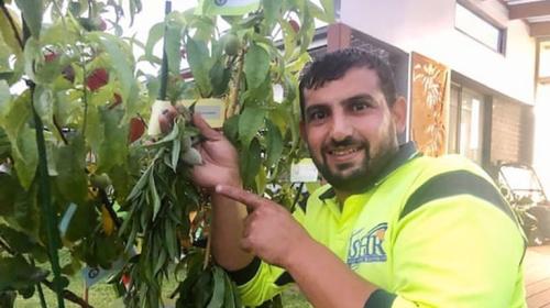 رجل يدخل موسوعة جينيس بـ"شجرة".. فما قصتها!