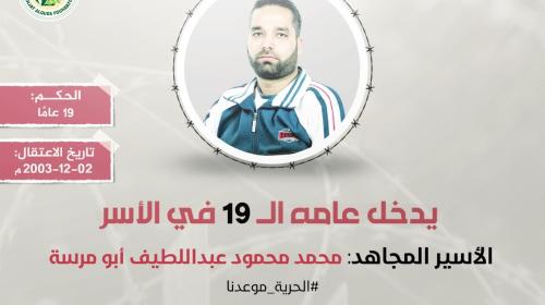محمد أبو مرسة.jpg
