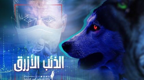 الذئب الازرق.jpeg