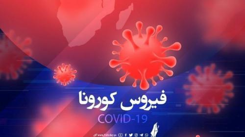 علماء يكشفون سبب إصابة مرضى فيروس كورونا بـ "تلف القلب"