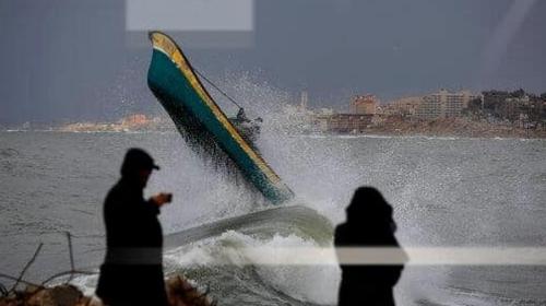 ارشيفية