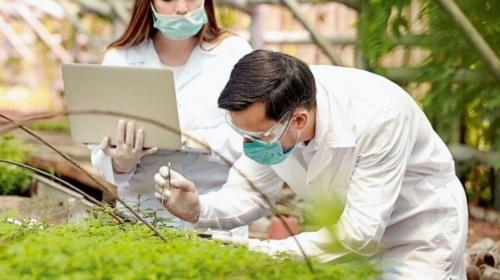 مع ارتفاع عدد الإصابات.. الصين تكثف إجراءات مكافحة كورونا