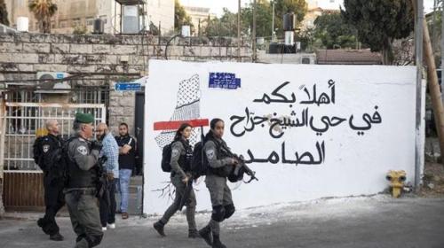 ارشيفية