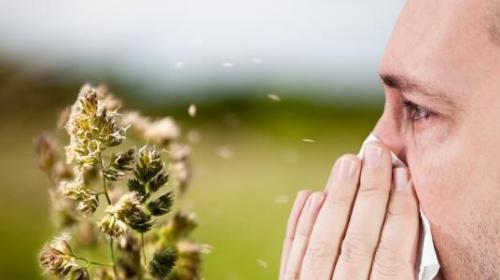 أسباب الحساسية الأكثر انتشارا