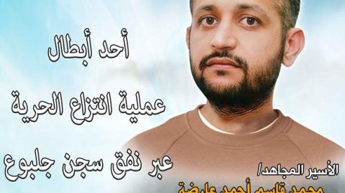 محمد عارضة.jpg