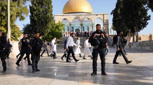 212 مستوطنا يقتحمون الأقصى اليوم وينفذون جولات استفزازية