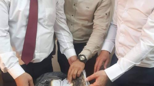 حرق القرآن الكريم.jpeg