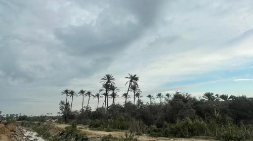 حالة الطقس