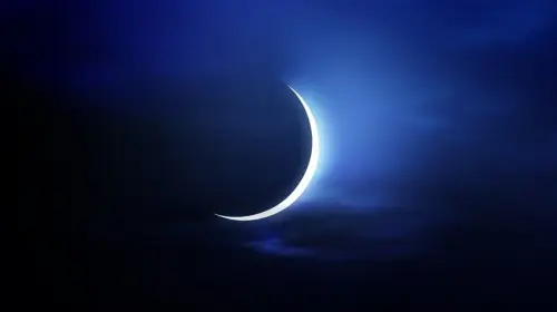 ارشيفية