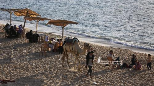 شاطئ بحر غزة  -ارشيفية