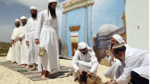 ذبح القرابين.png