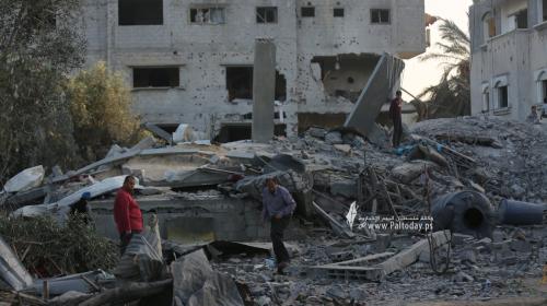 عائلة أبو عبيد في مدينة دير البلح وسط قطاع غزة (11).JPG