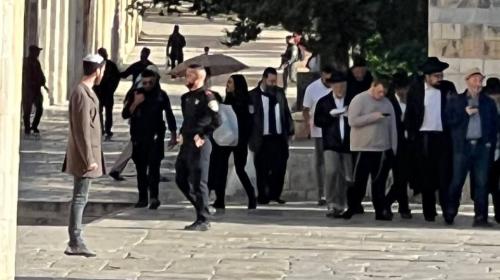 اقتحام الأقصى (8).jpeg