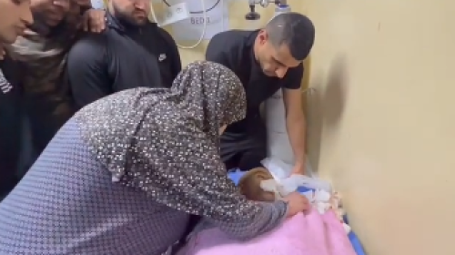والدة الشهداء.PNG