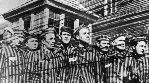 gal.ebay-holocaust.jpg_-1_-1_1.jpg