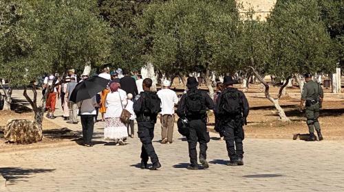 مستوطنون يقتحمون باحات المسجد الأقصى المبارك بحماية مشددة من قوات الاحتلال.jpeg