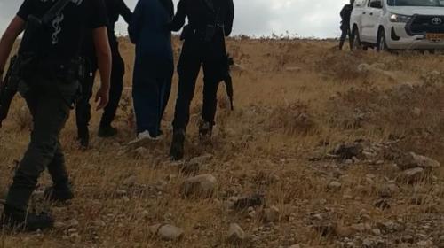 مستوطنون يعتدون على رعاة الأغنام في الخان الأحمر شرق القدس