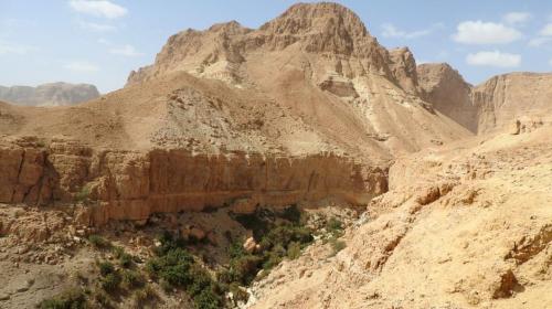 مقتل إسرائيلي في الانهيار في عين جدي