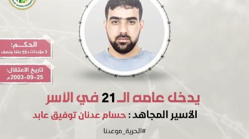 حسام عابد