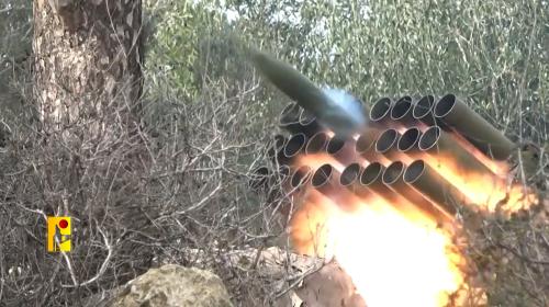ارشيفية