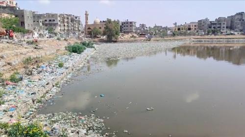 بركة الشيخ رضوان