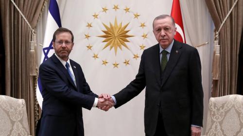 هرتسوغ-وإردوغان