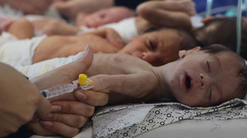 صورة لأطفال حديثي الولادة بغزة
