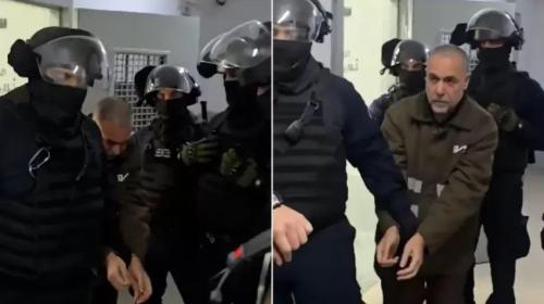 أبو صفية