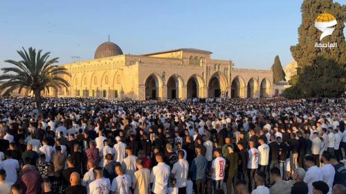 صلة عيد الاضحى بالمسجد الاقصى (3)