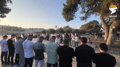 صلة عيد الاضحى بالمسجد الاقصى (1)