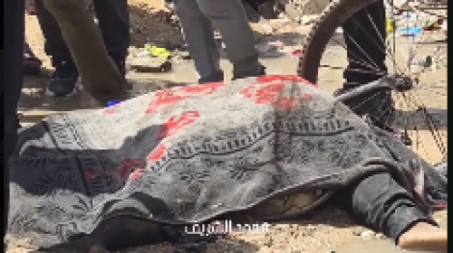 شهيد في الشيخ رضوان.PNG