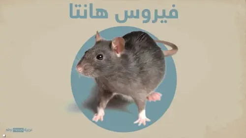 فيروس هانتا