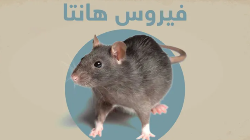 فيروس هانتا