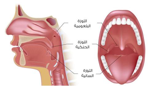 عملية استئصال اللوزتان