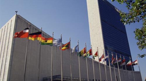 الامم المتحدة