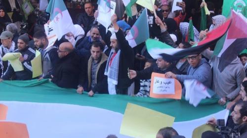 مظاهرات في الجزائر