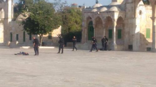 عملية القدس 14-7 في باحات المسجد الاقصى المبارك