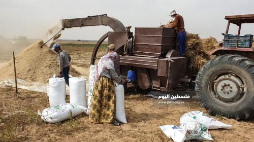 ارشيفية