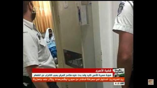 بلال كايد