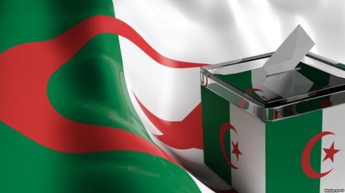 انتخابات الجزائر
