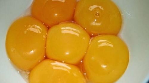 صفار بيض