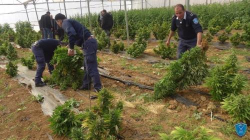 ضبط مخدرات - صورة من الأرشيف