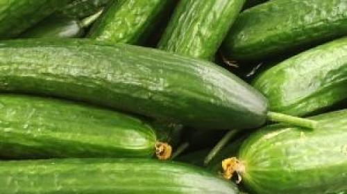 الخيار
