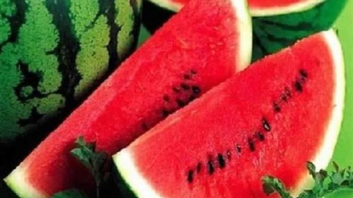 بطيخ