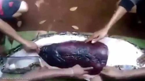فاجعة.. في أندونيسيا بأول أيام عيد الفطر ثعبان يلتهم امراة