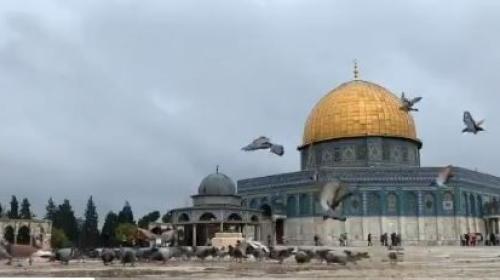 امطار في المسجد الاقصى.JPG