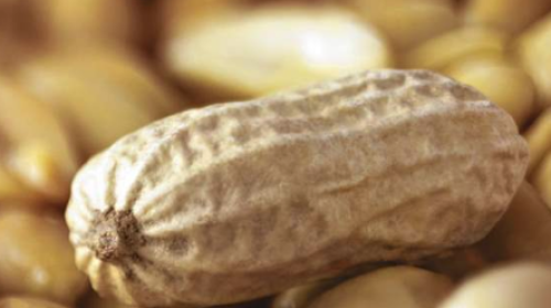 فول سوداني