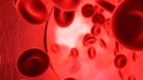 Thalassemia