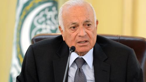 نبيل العربي